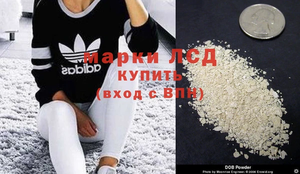 ПСИЛОЦИБИНОВЫЕ ГРИБЫ Богданович