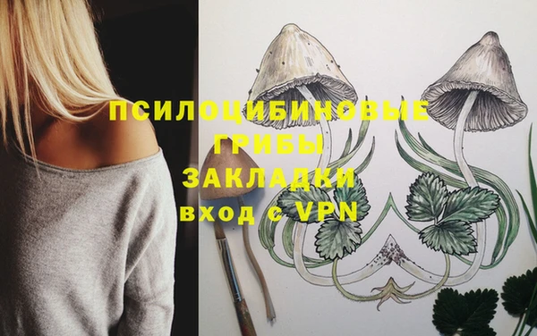 ПСИЛОЦИБИНОВЫЕ ГРИБЫ Богданович
