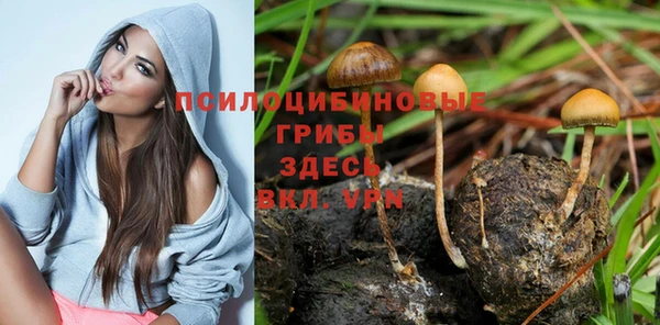 тгк Богородицк