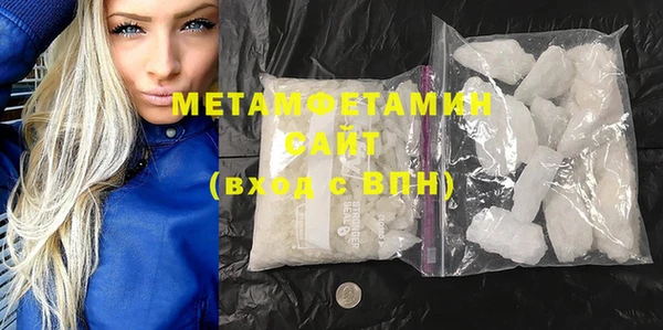 ПСИЛОЦИБИНОВЫЕ ГРИБЫ Богданович
