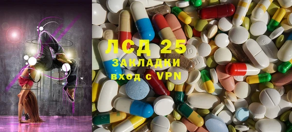 ПСИЛОЦИБИНОВЫЕ ГРИБЫ Богданович