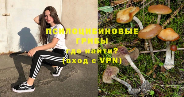 скорость mdpv Богородск