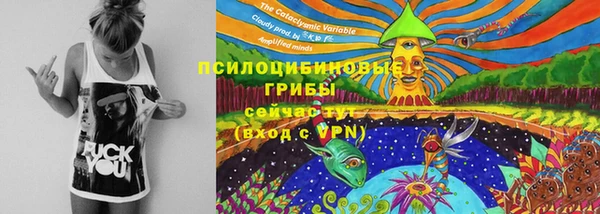 тгк Богородицк