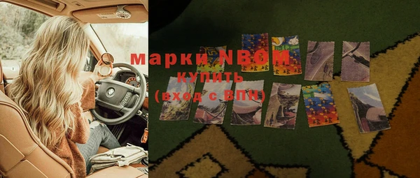 ПСИЛОЦИБИНОВЫЕ ГРИБЫ Богданович
