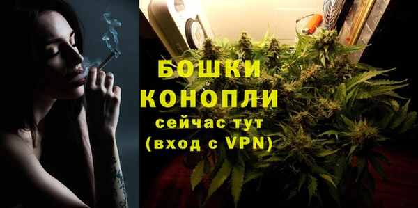 ПСИЛОЦИБИНОВЫЕ ГРИБЫ Богданович
