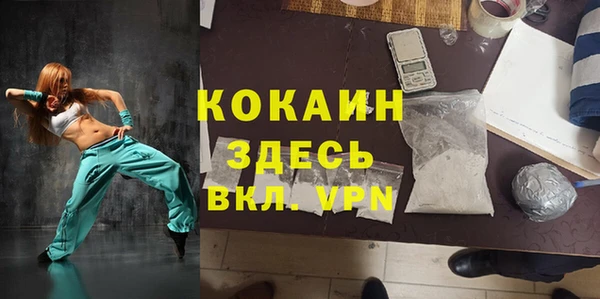 тгк Богородицк
